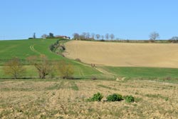 Flourens - Mons Flourens - Mons
