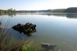 Nailloux - lac de Thésauque