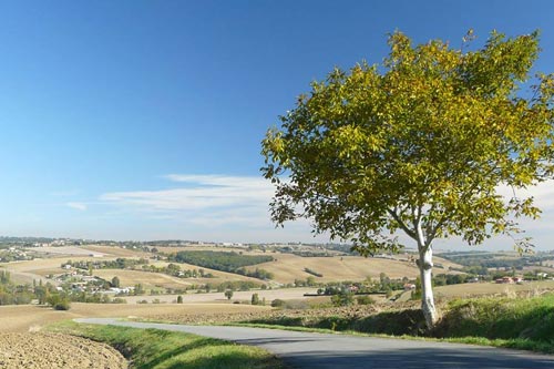 Aureville - Clermont-le-Fort - Goyrans