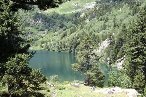 Etang de Balbonne et étang de l'Estagnet