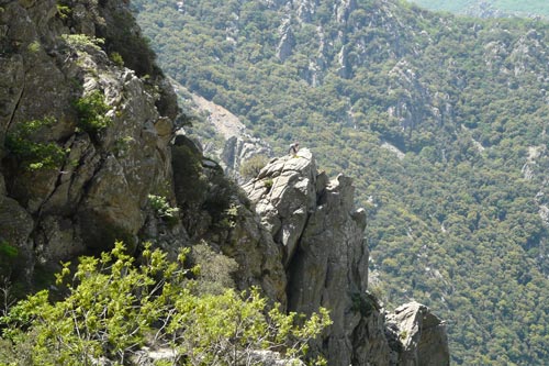 Caroux : Arête des Charbonniers