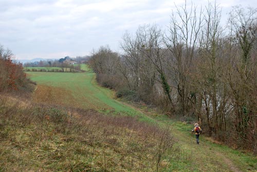 Rieux - plaine des Gaulois