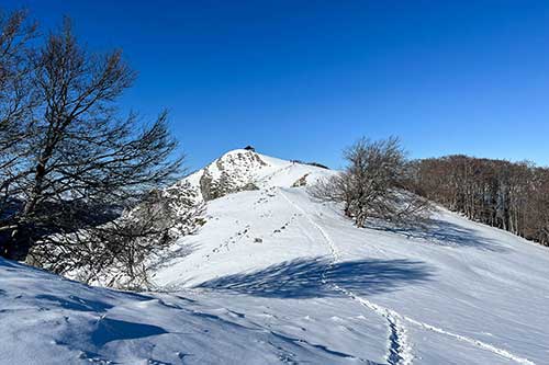 Pic Tourroc ou Mont Sacon