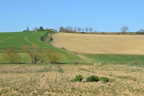 > Flourens - Mons > Flourens - Mons