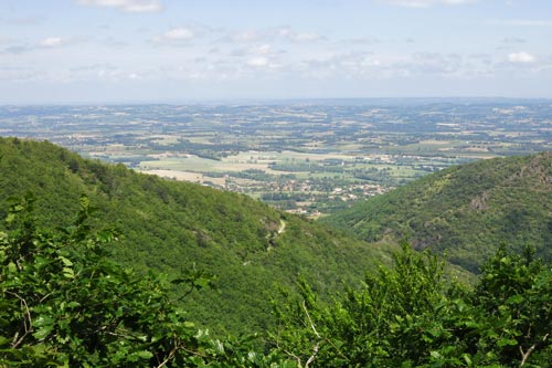 Foret de l'Aiguilles - Les Cammazes