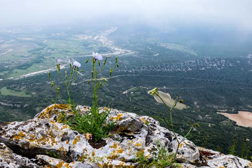 Pic de Saint-Loup