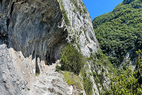 Chemin de la Mâture