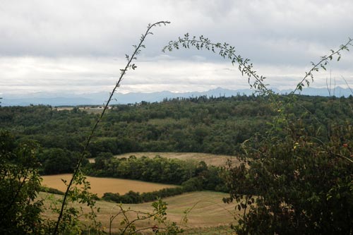 Rieumes - circuit de la Bure