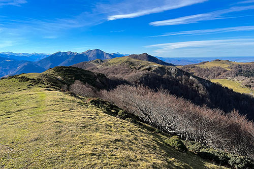 Sommet de Cournudère par le versant Nord