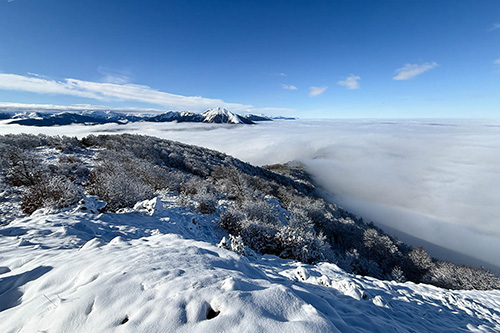 Pic de Paloumère depuis Arbas