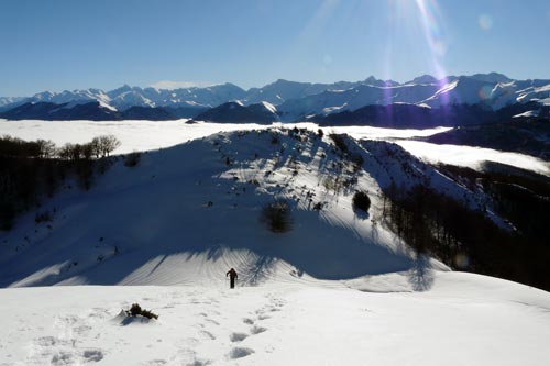 Pic de Paloumère ou de l'Aube par le versant Sud