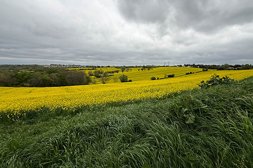 Pechbusque - Vigoulet - Auzeville