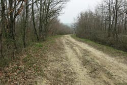 Bondigoux - Croix de la Peyre