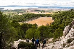 La Clape - Garrigue de Figuières