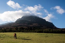 Pech de Bugarach par le col de Linas