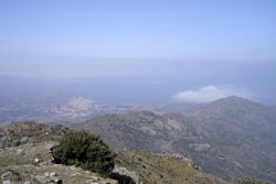 Tour de Querroig depuis Cerbère