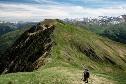 Entecade par le chemin des chèvres