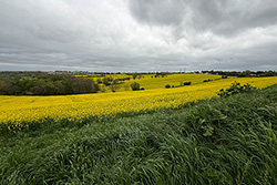 Pechbusque - Vigoulet - Auzeville