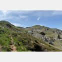 Signal de Bassia versant Nord